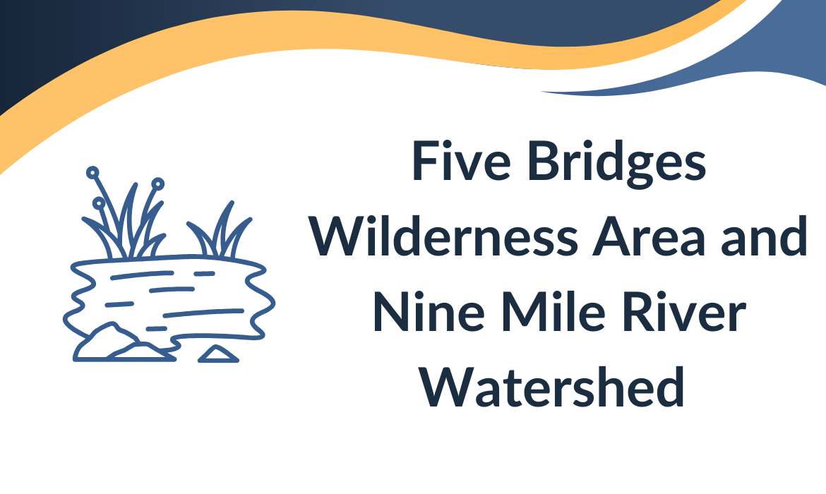 Five Bridges 