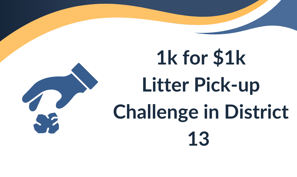 Litter Pick-up Challenge