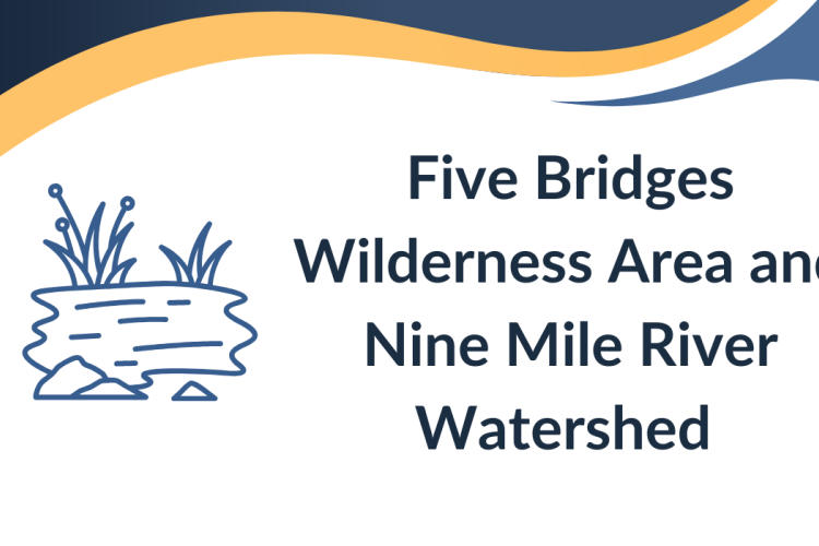 Five Bridges 