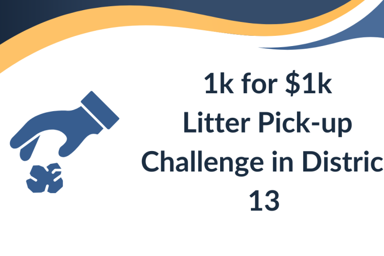 Litter Pick-up Challenge