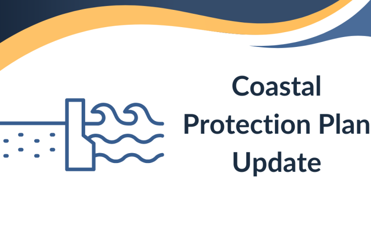coastal protection