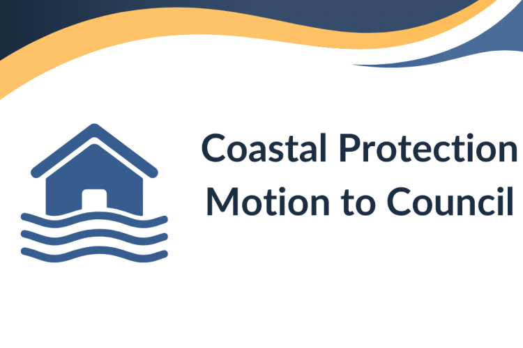 coastal protection motion