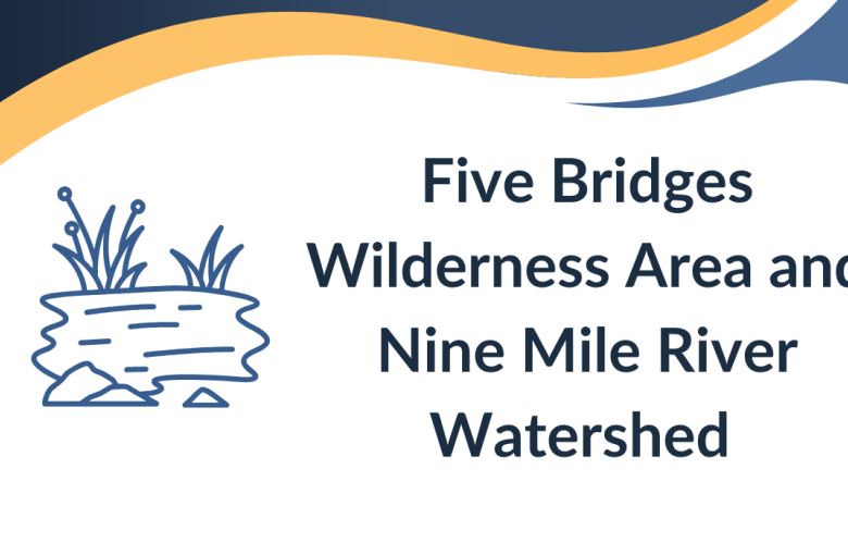Five Bridges 