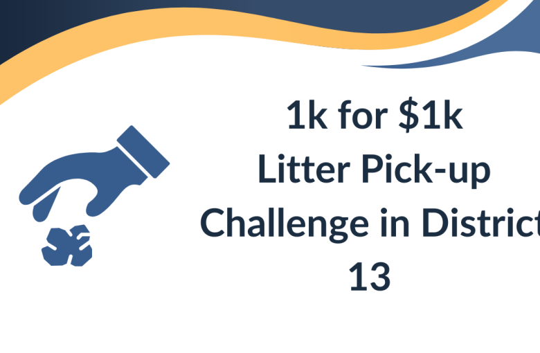Litter Pick-up Challenge